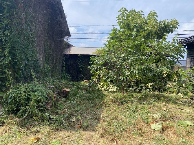 �A�؂̔���